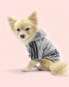 Gri Adidog Kapşonlu Sweatshirt Köpek Kazağı - 2