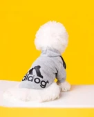Gri Adidog Kapşonlu Sweatshirt Köpek Kazağı - 5