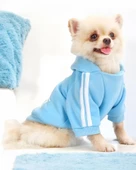 Baby Blue Adidog Kapşonlu Sweatshirt Köpek Kazağı - 1