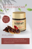 Ganoderma (Reişi) Mantarı Ekstraktı – 100% Kore - 3
