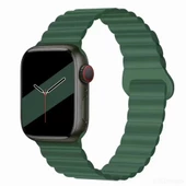 Apple Watch 10/11 42mm-38/40/41mm Kordon Double Color Magnetic Strap BH52 2/3/4/5/6/se/7/8/9 - 8