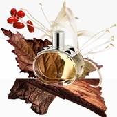 Hermes Barénia, Eau De Parfum 60M - 3