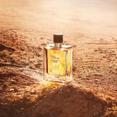 Hermes Terre D'Hermès Eau Intense Vétiver, Eau De Parfum 50ML - 3