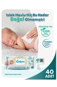 Yenidoğan ve Hassas Bakım Islak Havlu 3 x 40 ( 120 Adet ) - 2