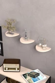 ilkal Duvar Rafı Dekoratif 3 Adet Çiçeklik Oval Krem - 2