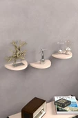 ilkal Duvar Rafı Dekoratif 3 Adet Çiçeklik Oval Krem - 3