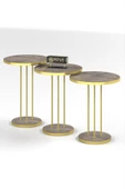 Gold Falez ZİGON SEHPA TERRA GOLD GORDİON - 4