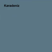Marshall Antibakteriyel Hijyen İpek Mat İç Cephe Boyası Karadeniz 15 Lt (20 Kg) - 2