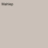 Marshall Antibakteriyel Hijyen İpek Mat İç Cephe Boyası Mahlep 15 Lt (20 Kg) - 2