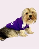 Mor Adidog Kapşonlu Sweatshirt Köpek Kazağı - 2