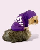 Mor Adidog Kapşonlu Sweatshirt Köpek Kazağı - 6