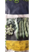 KOLUKISA TARIM BAKLA TOHUMU--500GR - 2