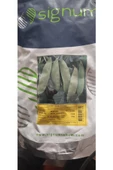 KOLUKISA TARIM YAPRAK BEZELYE TOHUMU--500GR - 3