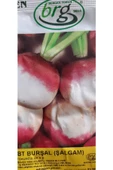 KOLUKISA TARIM ŞALGAM TOHUMU - 2