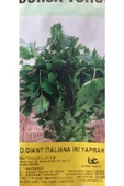 KOLUKISA TARIM İRİ YAPRAK MAYDANOZ TOHUMU - 3