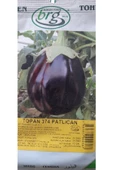 KOLUKISA TARIM TOPAN PATLICAN TOHUMU--25GR - 1