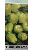 KOLUKISA TARIM DİK DOLMA BİBER TOHUMU - 1