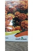 KOLUKISA TARIM KADİFE ÇİÇEK TOHUMU - 3