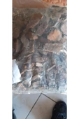 Orkide Toprağı - 1