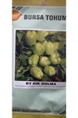 KOLUKISA TARIM DİK DOLMA BİBER TOHUMU - 3