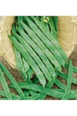 Perolar Sırık Fasulye Tohumu 100 Gr. - 1