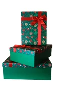 Kolix 3'lü Yılbaşı Temalı Dekoratif Fiyonklu Hediye Kutusu Yeşil 35x25x13 Cm Büyük Boy thumbnail 1