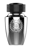 Triumphant Silver Glory EDT 100 ml Erkek Parfüm - 1