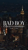 Carolina Herrera Bad Boy Le Parfum EDP 100 ml Erkek Parfüm - 4
