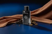 Antonio Banderas The Icon The Perfume Edp 100 Ml - 3