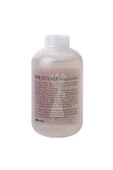 Davines We Stand Hair&Body Wash Shampoo 250 ml Saç & Vücut Şampuanı - 1