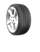 Milestone 195/65 R15 95H Carmile Winter Oto Kış Lastiği (Üretim Yılı:2024) - 1