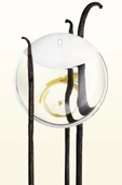 Issey Miyake A Drop D‘Issey EDP 50 ml Kadın Parfüm - 3