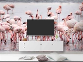 Deniz ve Pembe Flamingo Manzaları Duvar Kağıdı thumbnail 3