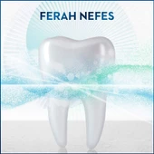 Oral-B Fresh Mint Ağız Bakım Suyu 500 ml - 6