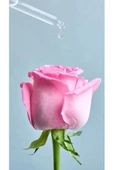 Nivea Aqua Rose Organik Gül Suyu Içeren 150 ml Yüz Temizleyici - 3