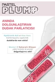 Pastel Plump Up Gloss 204 Spicy Sweet- Dolgunlaştırıcı Dudak Parlatıcısı - 4