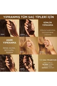 Pantene PRO-V  Bond Repair Yıpranmış Saçlar için Şampuan 250 ml - 4