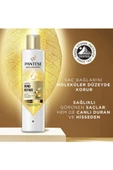 Pantene PRO-V  Bond Repair Yıpranmış Saçlar için Şampuan 250 ml - 5