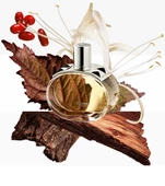 Hermes Barenia EDP 100 ml Kadın Parfüm - 3
