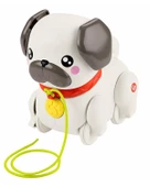 Fisher Price Sesli Minik Dostumla Yürüyüş HTW94 - 1