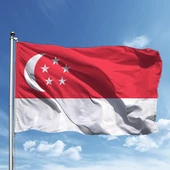 Singapur Bayrağı 50*75 cm - 1