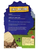 4 Yaş Şekilli Dinozorlar Triceratops Çiçek Yayınları thumbnail 2