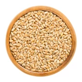 Aşurelik Buğday (Döğme) 1kg - 2