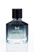 Alberto Taccini MELIONISM Erkek Parfümü 50 ML - 2