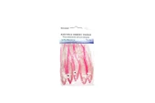 Sea Horse 12 Cm L10 50'li Paket Ahtapot - 1