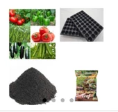 Domates + Salata + Biber + Patlıcan + (60 Adet Tohum) Toprak + Gübre + Viyol - 1