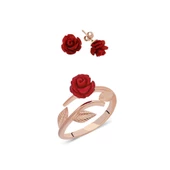 925 Ayar Gümüş Ayarlanabilir Yüzük ve Küpe Seti - 1