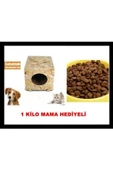 1 Kg. Mama Hediyeli Dış Mekan Kedi Kulübesi Osb Kedi Evi - 1