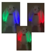 LED IŞIKLI, Uyku Arkadaşı Uzun Kulak Bunny Peluş Tavşan 65cm - 4