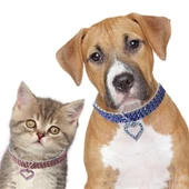 Kedi Köpek Kristal Taşlı Kalpli Kolye Small 20+5 cm - 4